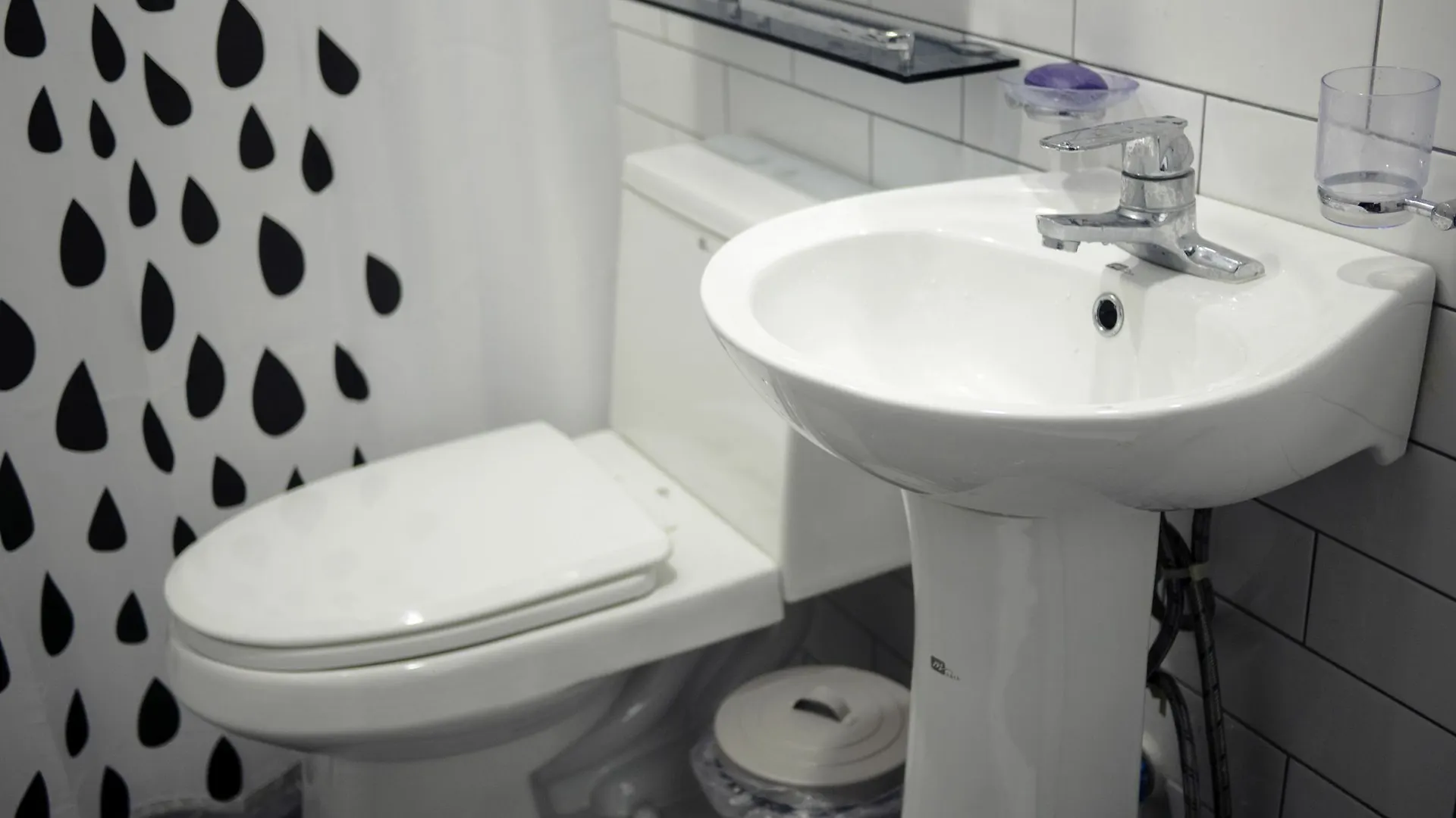 Whitetail Guesthouse Seul